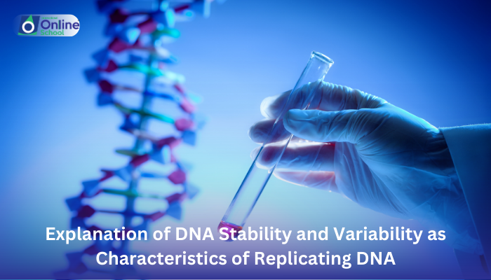 Lesson 10: Explanation of DNA Stability and Variability as Characteristics of Replicating DNA